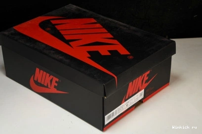 “Mauve” OG Jordan High 1 0822
